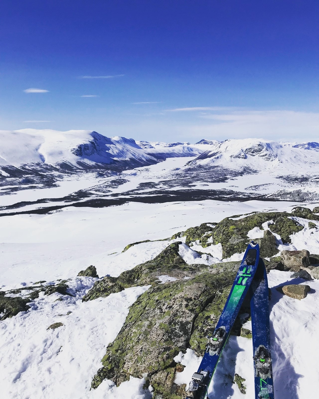 Grønnsennknippa. Et eventyr på slike dager. Galleribilde