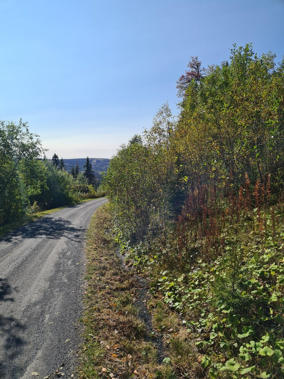Tomten ligger i skrånet terreng like ved tilkomstvei. Galleribilde