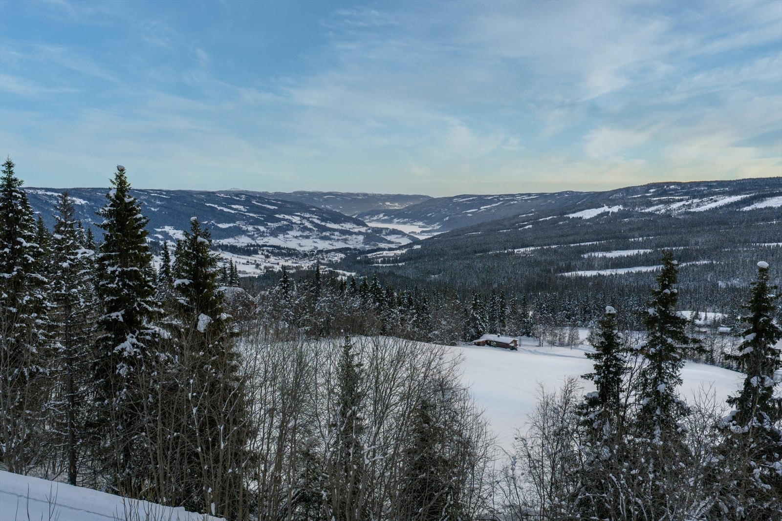 Nydelig utsikt fra tomten. Galleribilde