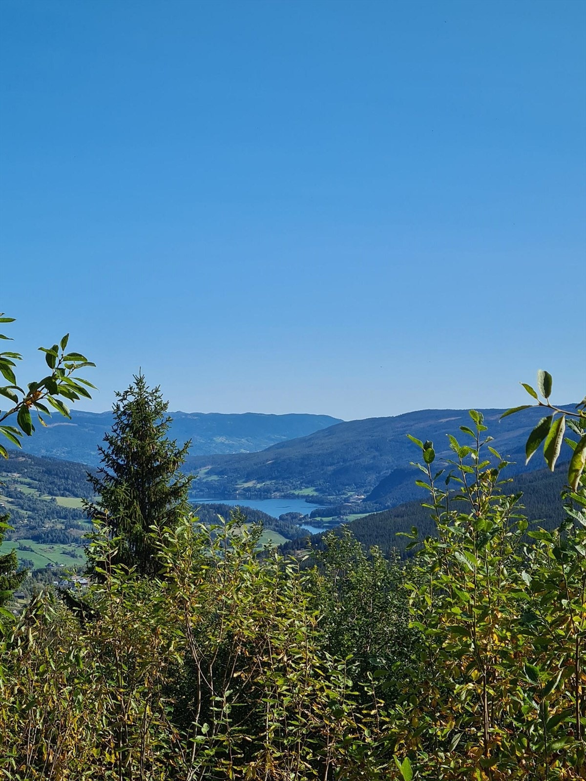 Utsikt fra tomten. Galleribilde