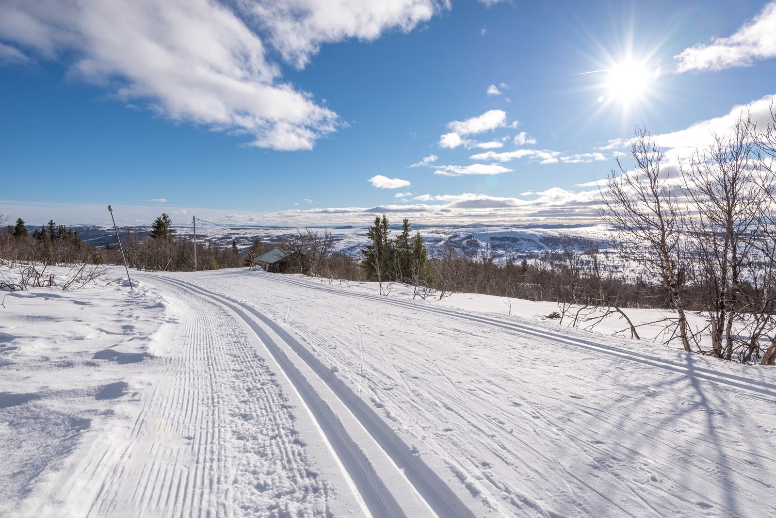 Vaset, Ålfjell. Flotte preparerte skiløyper i området. Galleribilde