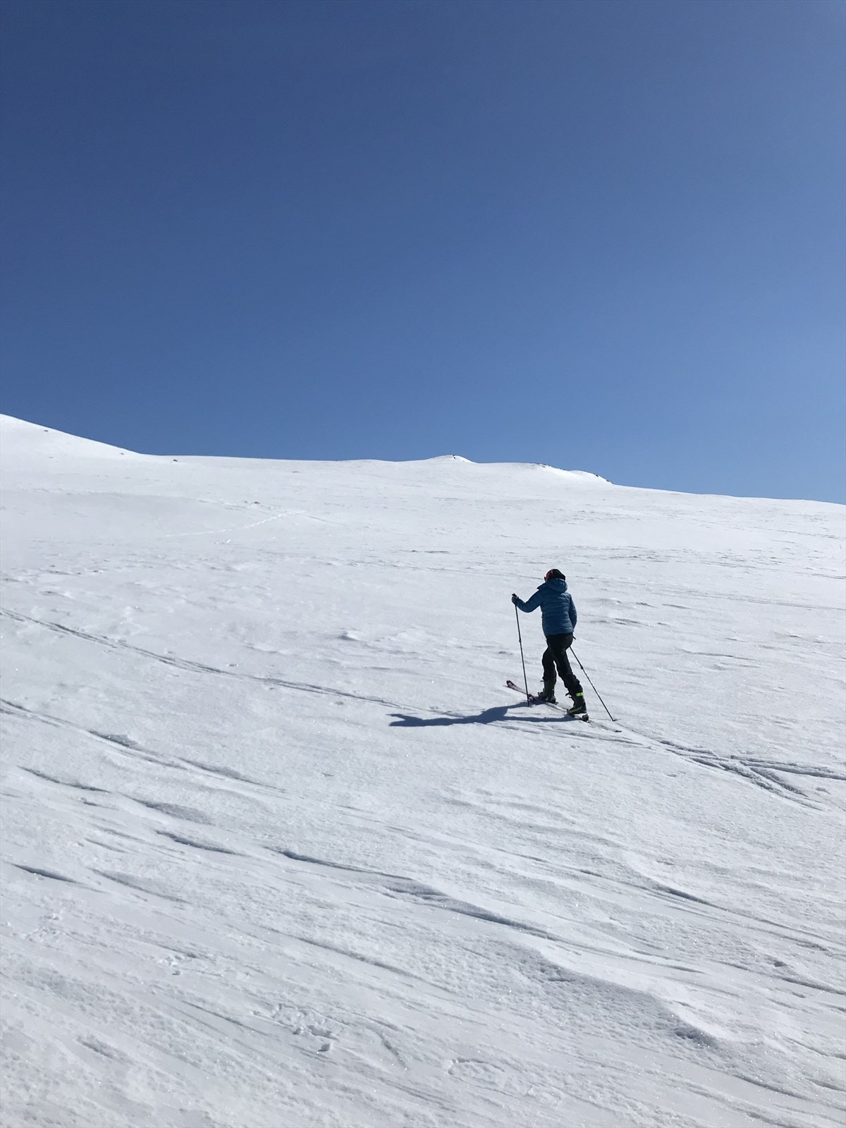 Grønsennknippa - randonee tur Galleribilde