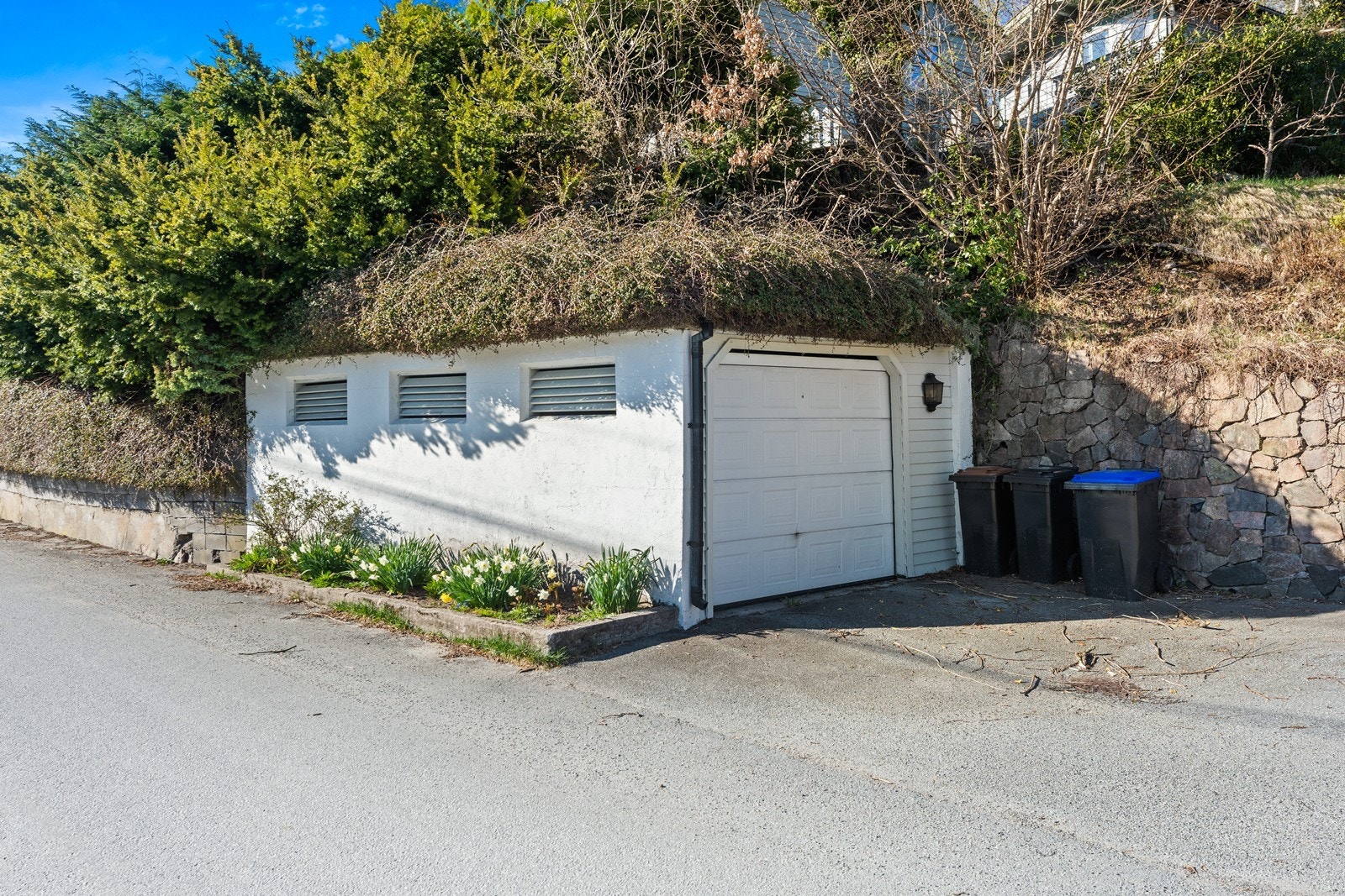 _DSC2339 Galleribilde