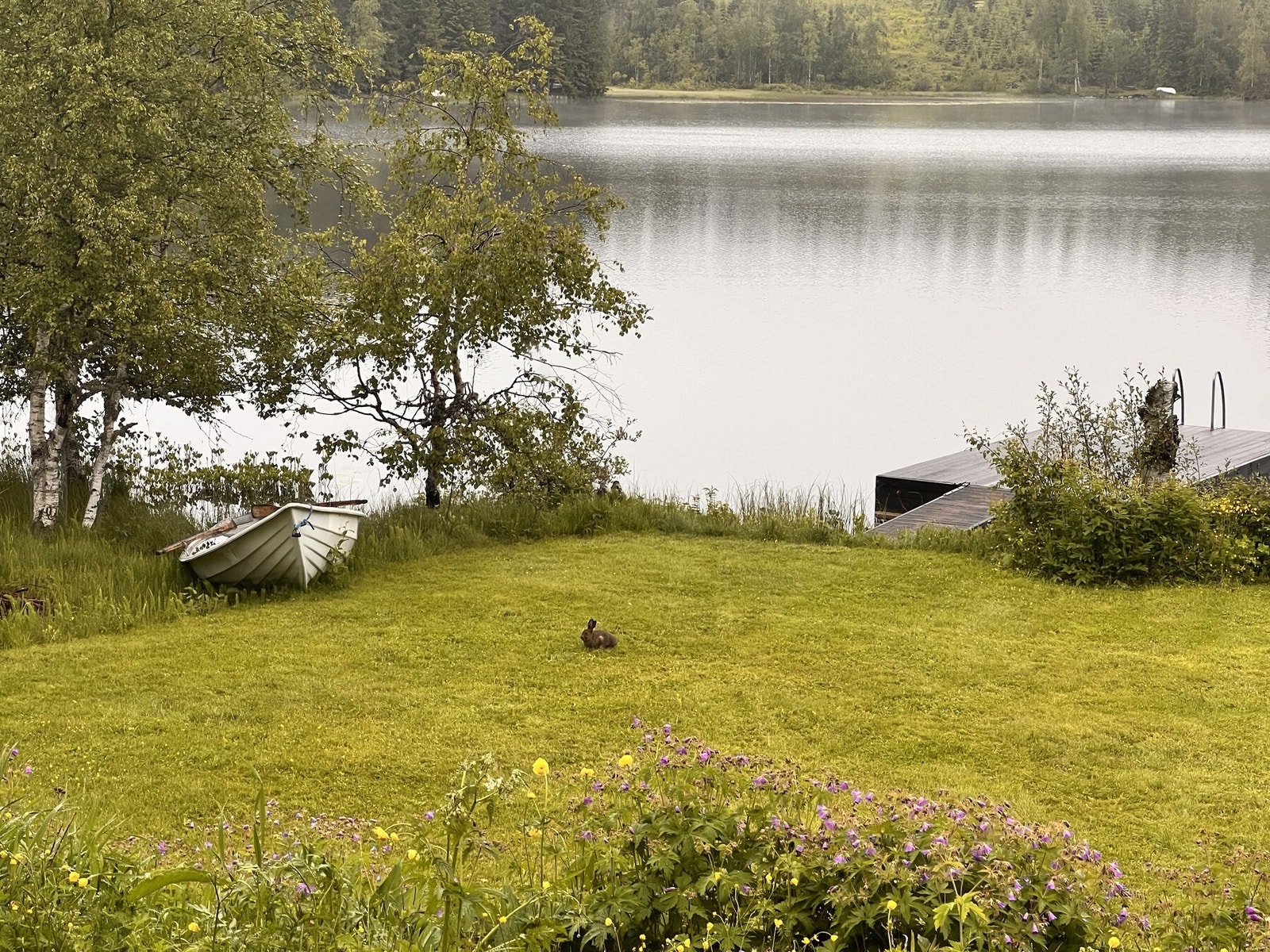 Sommeridyll. Bilde fra selger. Galleribilde