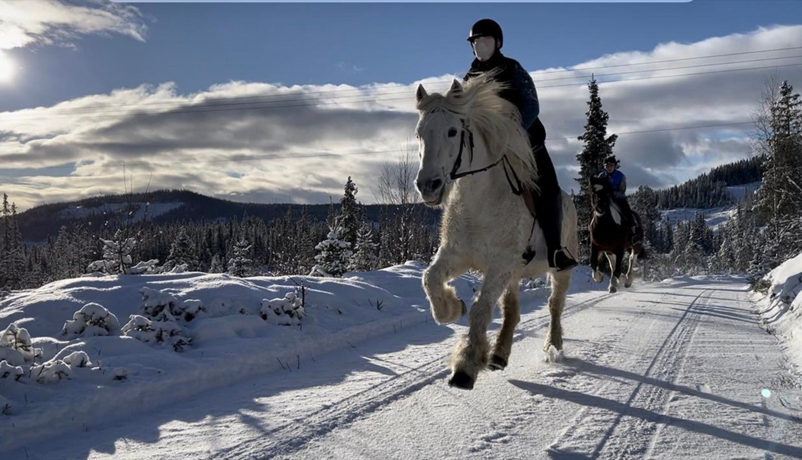 Det er flere ridemuligheter i nærområdet. Rideskole med muligher for rildeleir, delfor, rideturer og ridetimer. Bilde fra selger. Galleribilde