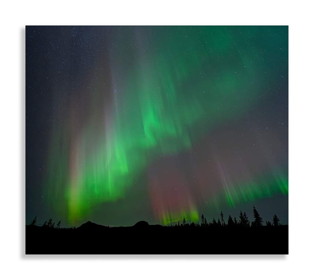 Selgers foto. Galleribilde