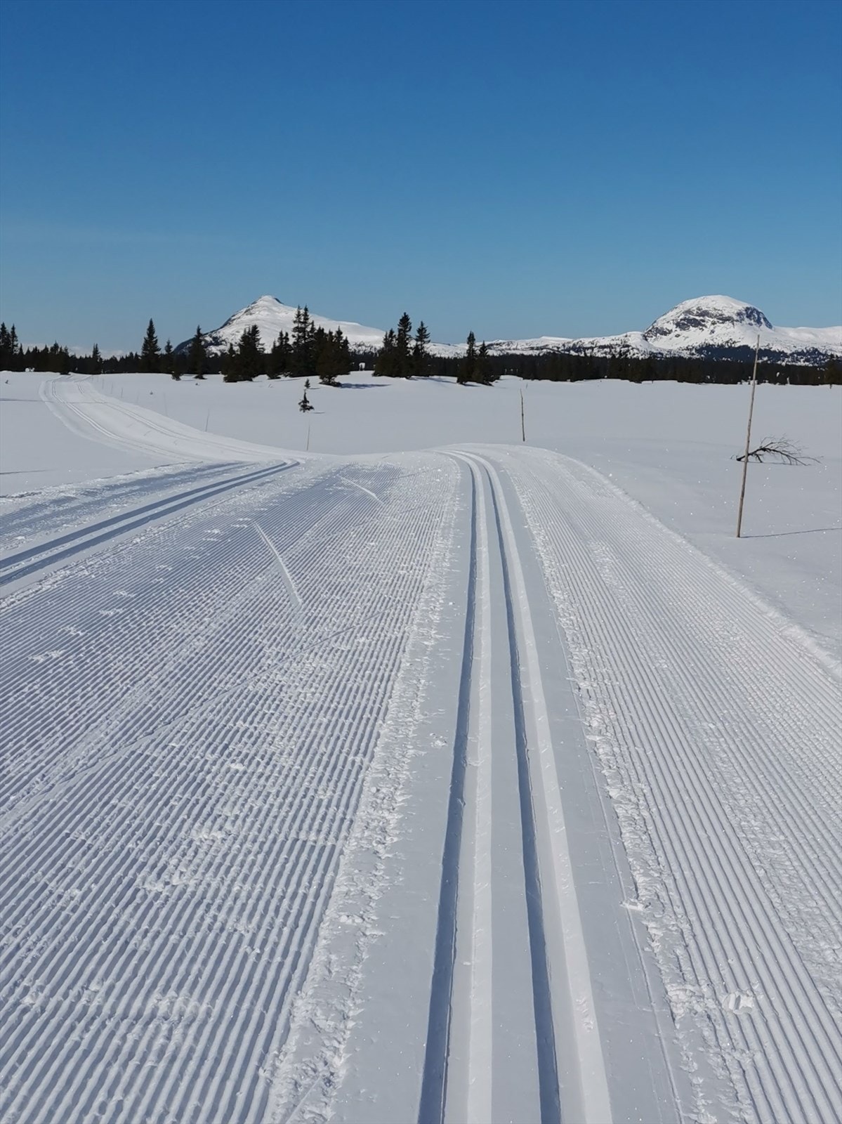 Selgers egne bilder viser at dette er et vakkert område med mange mulighet året rundt. Galleribilde