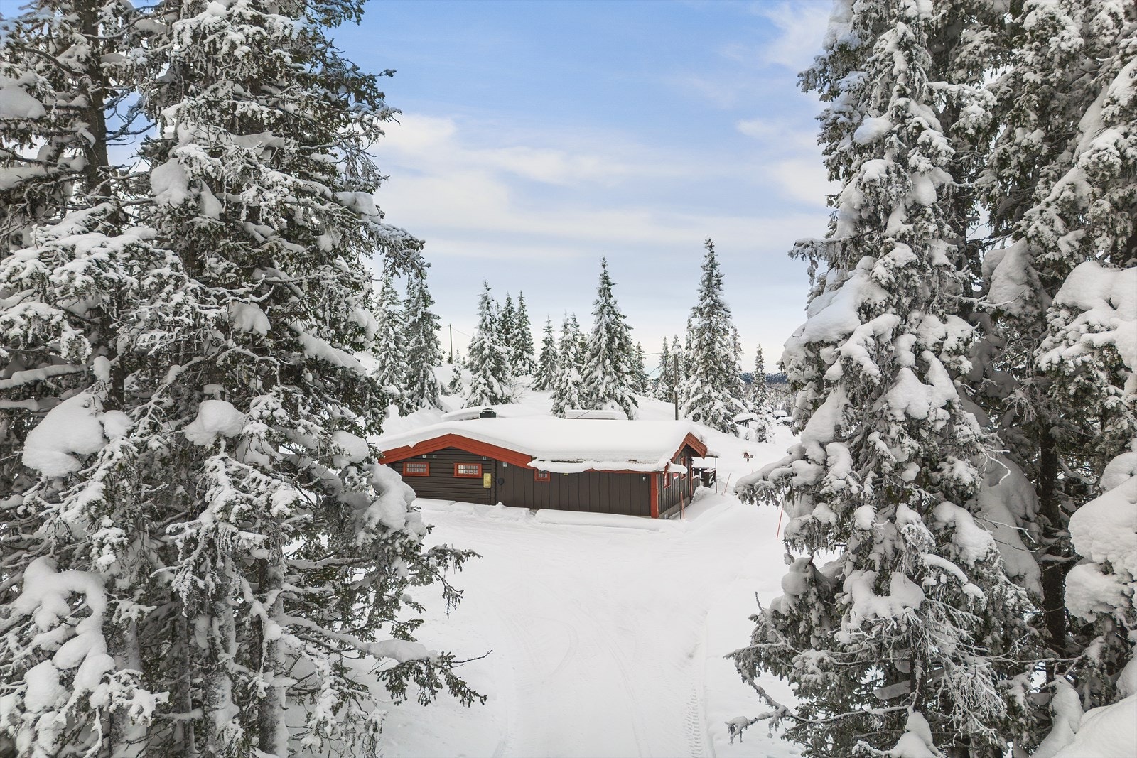 Det er bare å glede seg til gode dager i vakre omgivelser - både inne og ute! Galleribilde