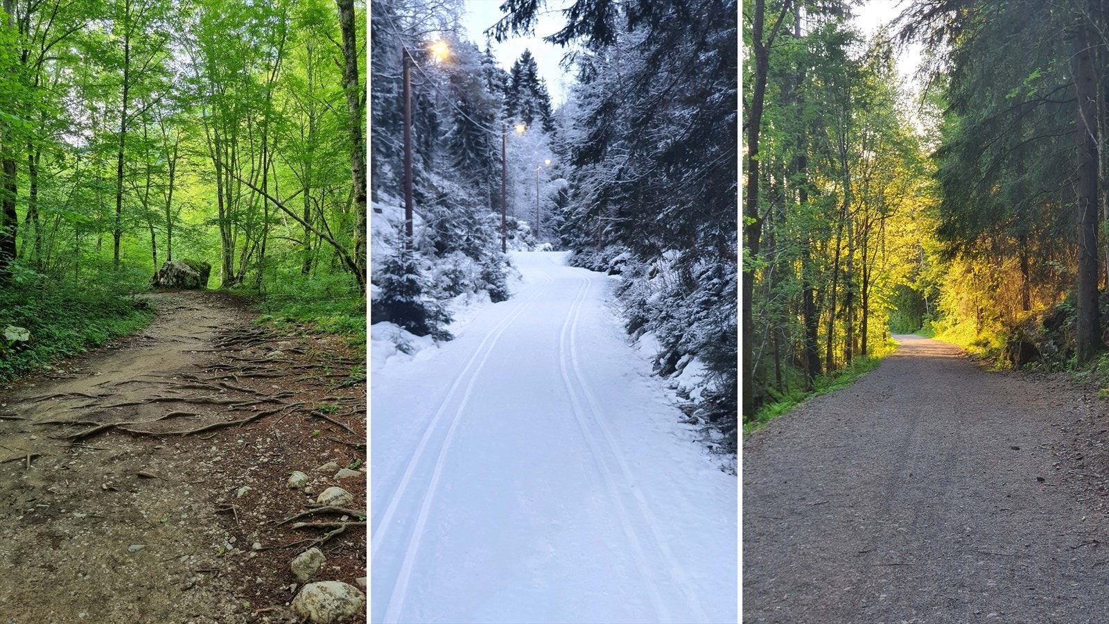 Området byr på rikelig med turmuligheter, året rundt. Galleribilde