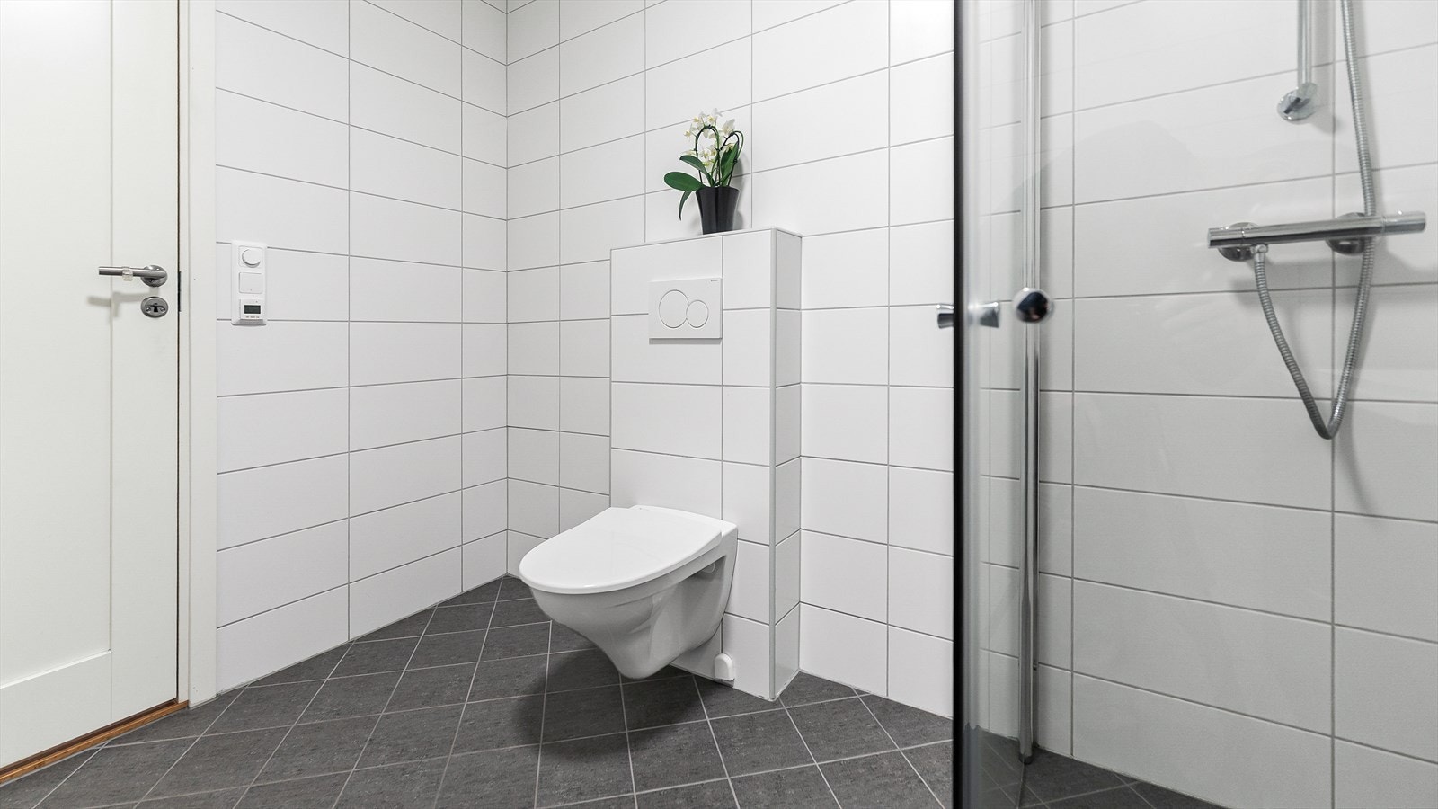 Vegghengt toalett Galleribilde