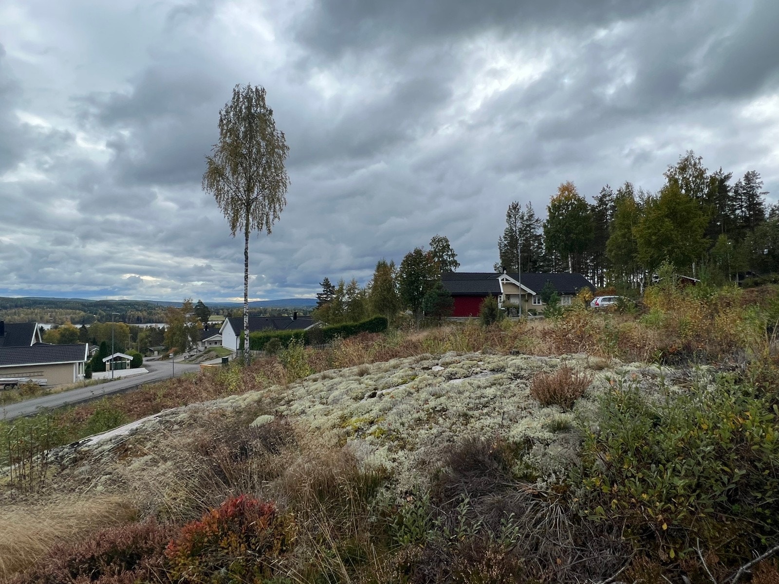 Rømskog skole er en fådelt skole, og tilbyr 1.-7. klasse med SFO-tilbud, mens barnehagen på Skoletoppen deler lokaler med SFO og har gode inne- og uteområder. Galleribilde