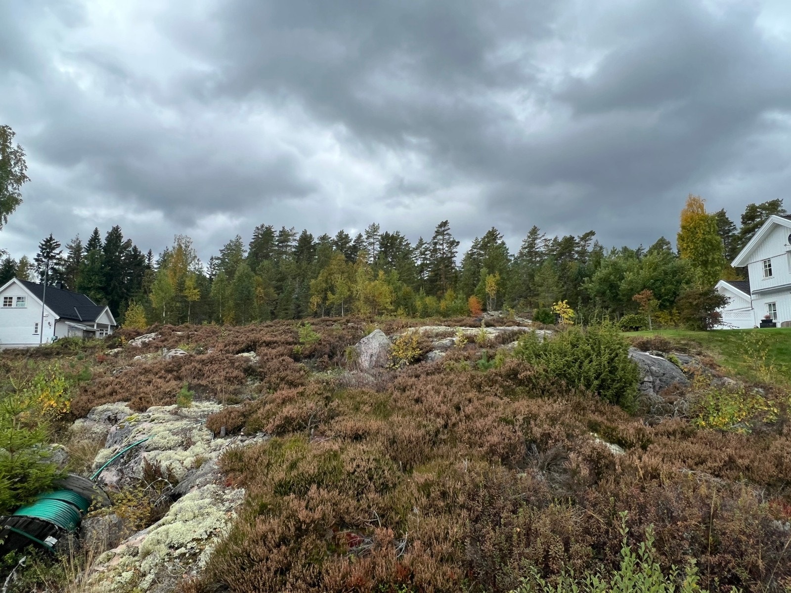 Rømskog er et ekte naturparadis, med over 100 innsjøer og tjern som innbyr til fiske, padling og bading. Her kan du oppleve jakt, følge merkede turstier eller benytte deg av oppkjørte skiløyper på vinterstid. Galleribilde
