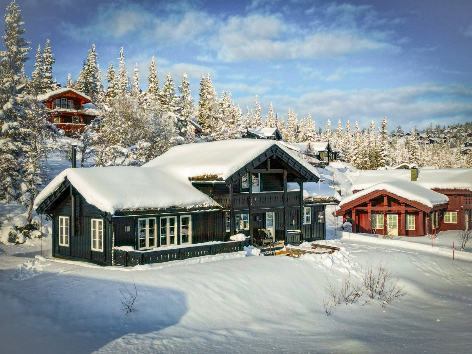 Vinteridyll Galleribilde