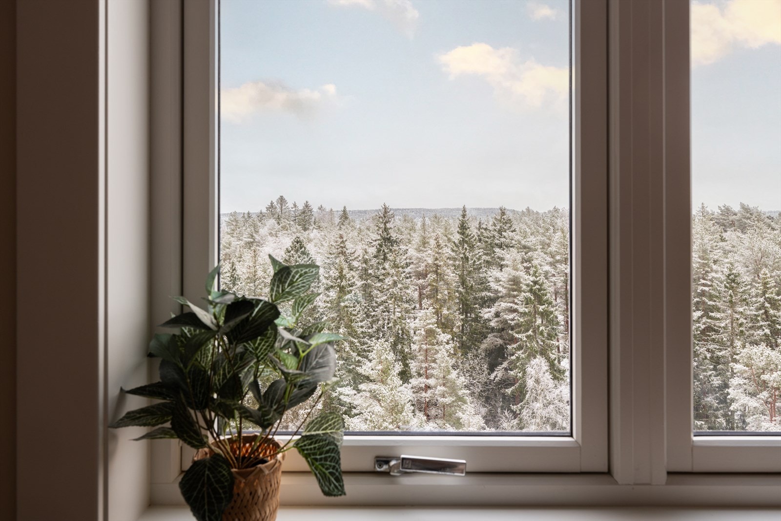 Fra leiligheten har du umiddelbar nærhet til Østmarka. Galleribilde