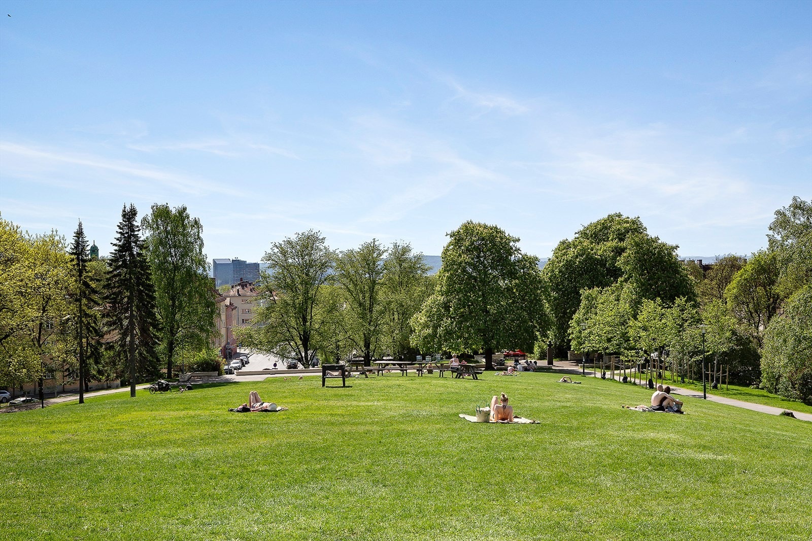 Torshovparken Galleribilde