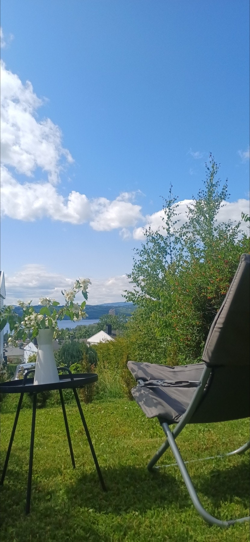 Selger sine egne bilder Galleribilde