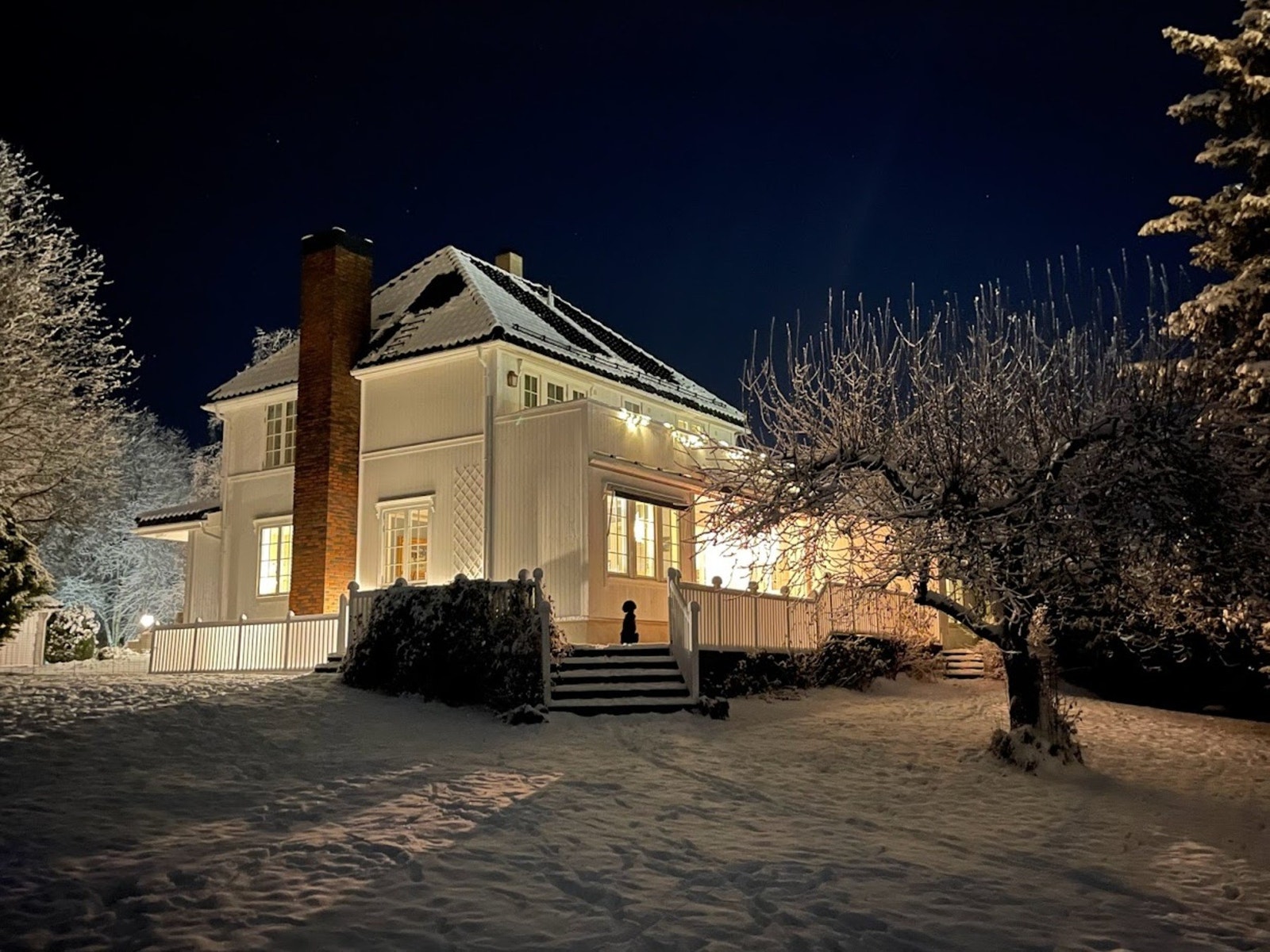 Vinterstemning i hagen - selgers egne bilder. Galleribilde