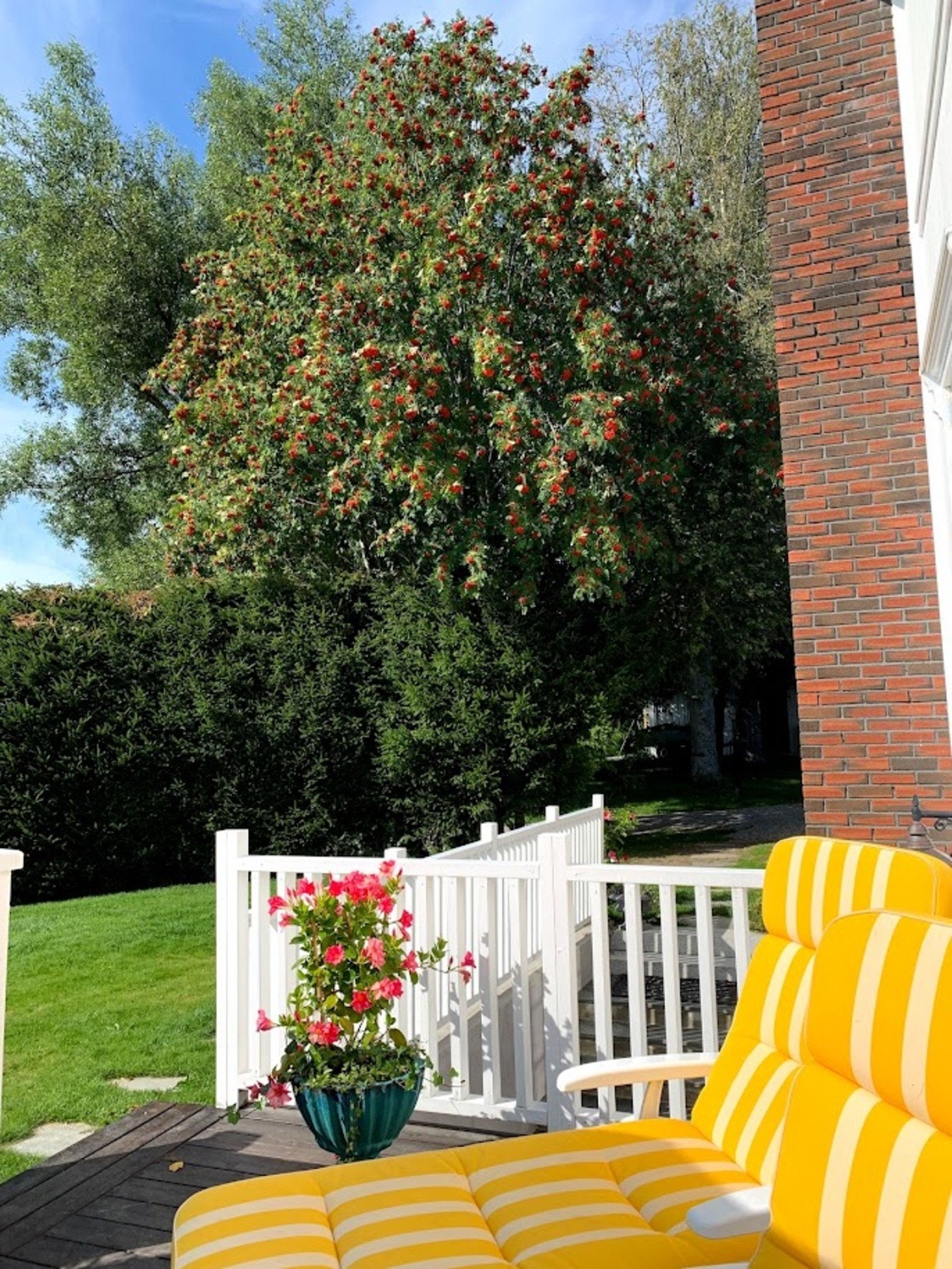 Selgers egne sommerbilder som viser til det svært pent opparbeidede hageområdet. Galleribilde