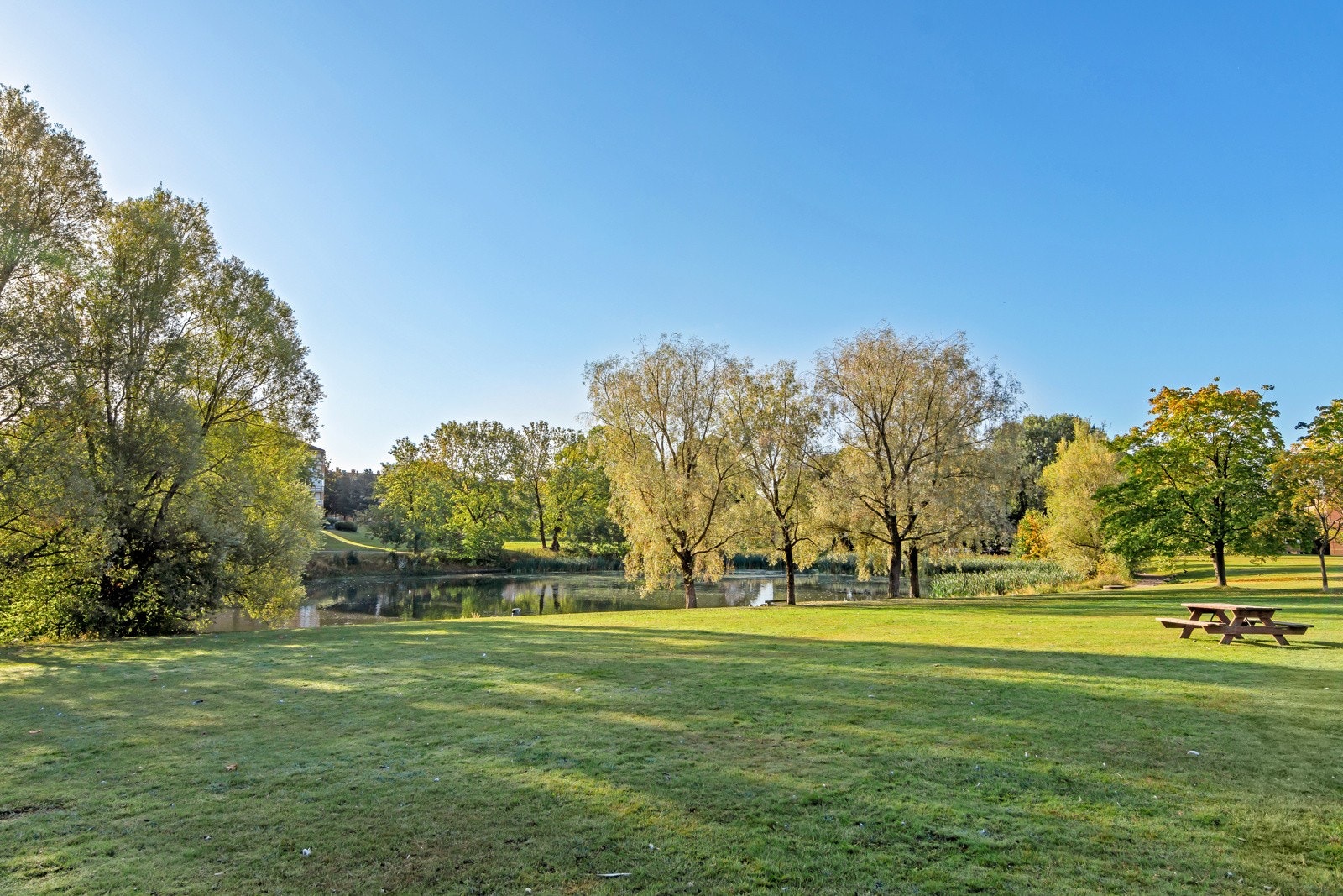 Nærområde. Galleribilde