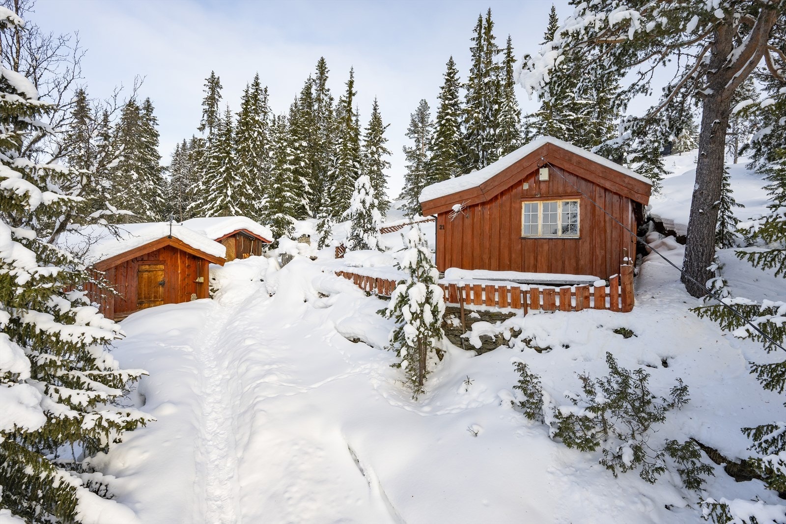 Velkommen på visning - Husk å melde deg på. Galleribilde