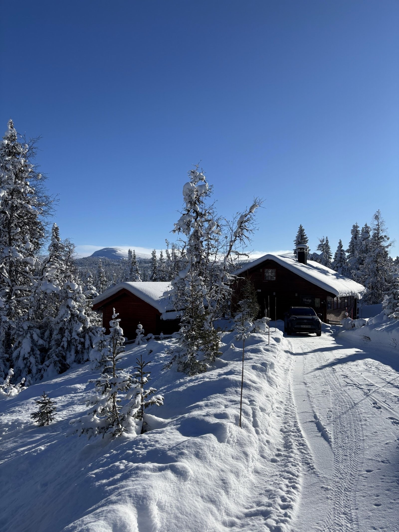 IMG_1957 Galleribilde