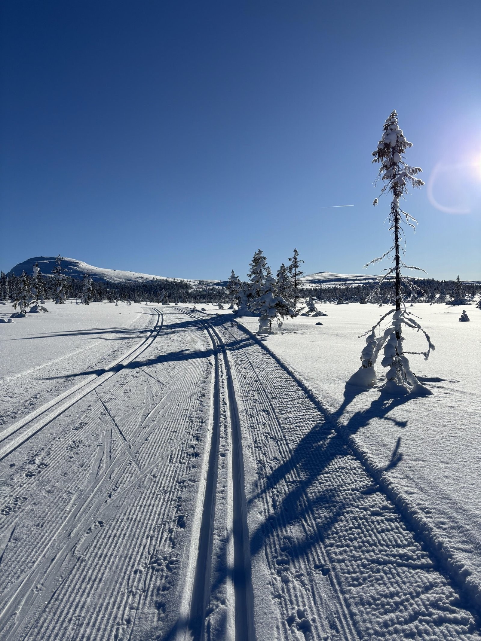 IMG_2024 Galleribilde