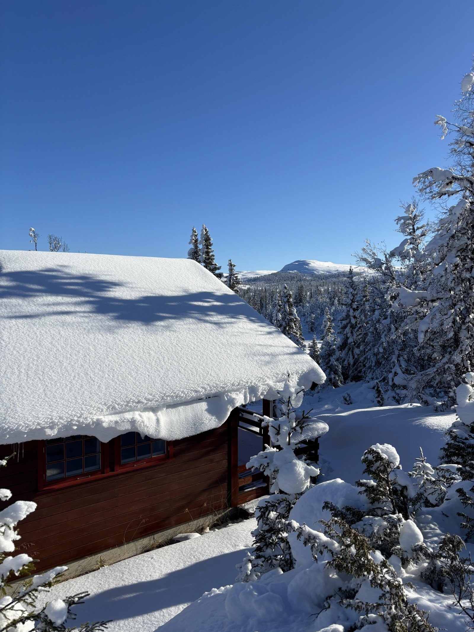 IMG_1995 Galleribilde