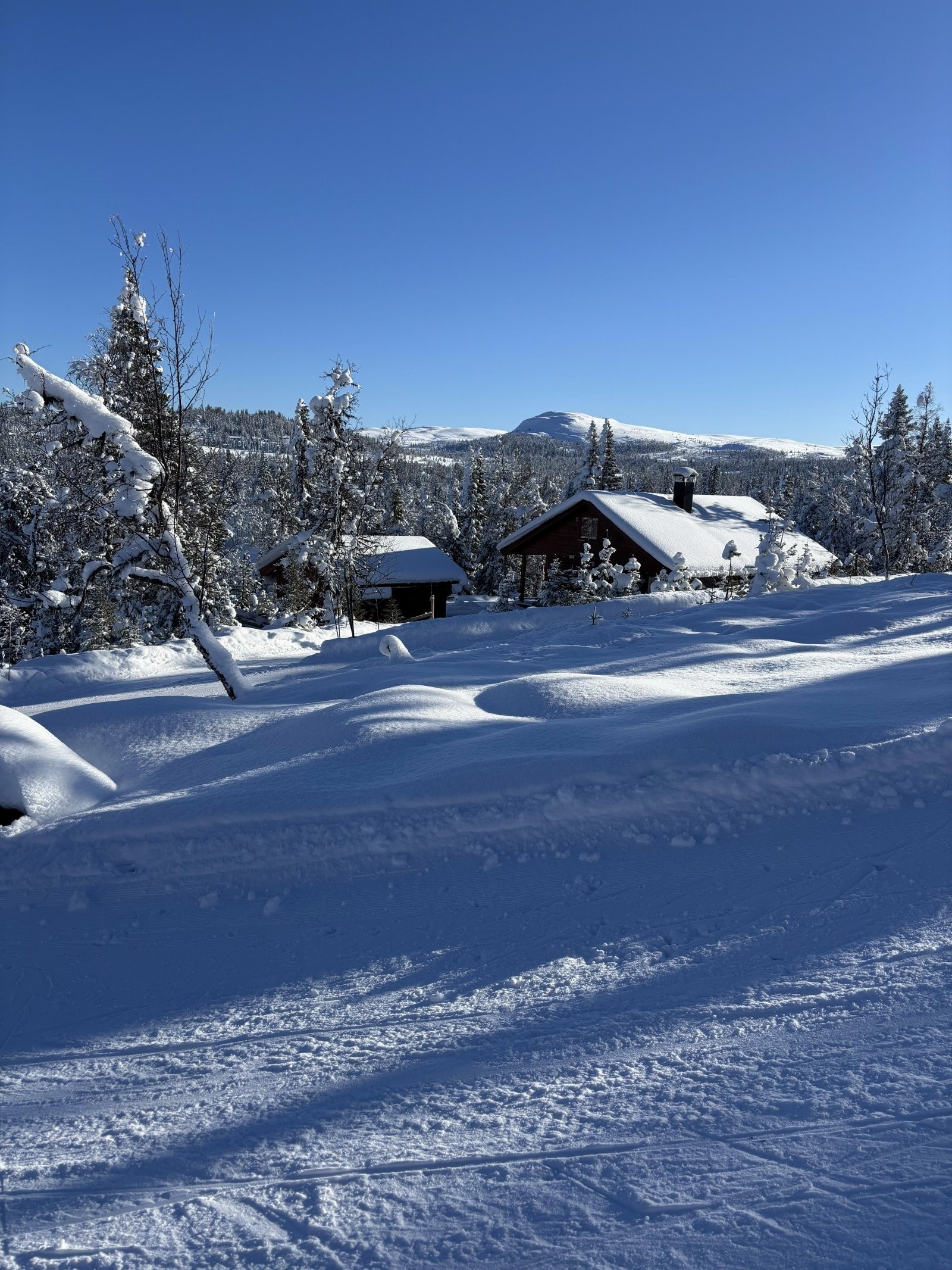 Gul løype ved hytta Galleribilde