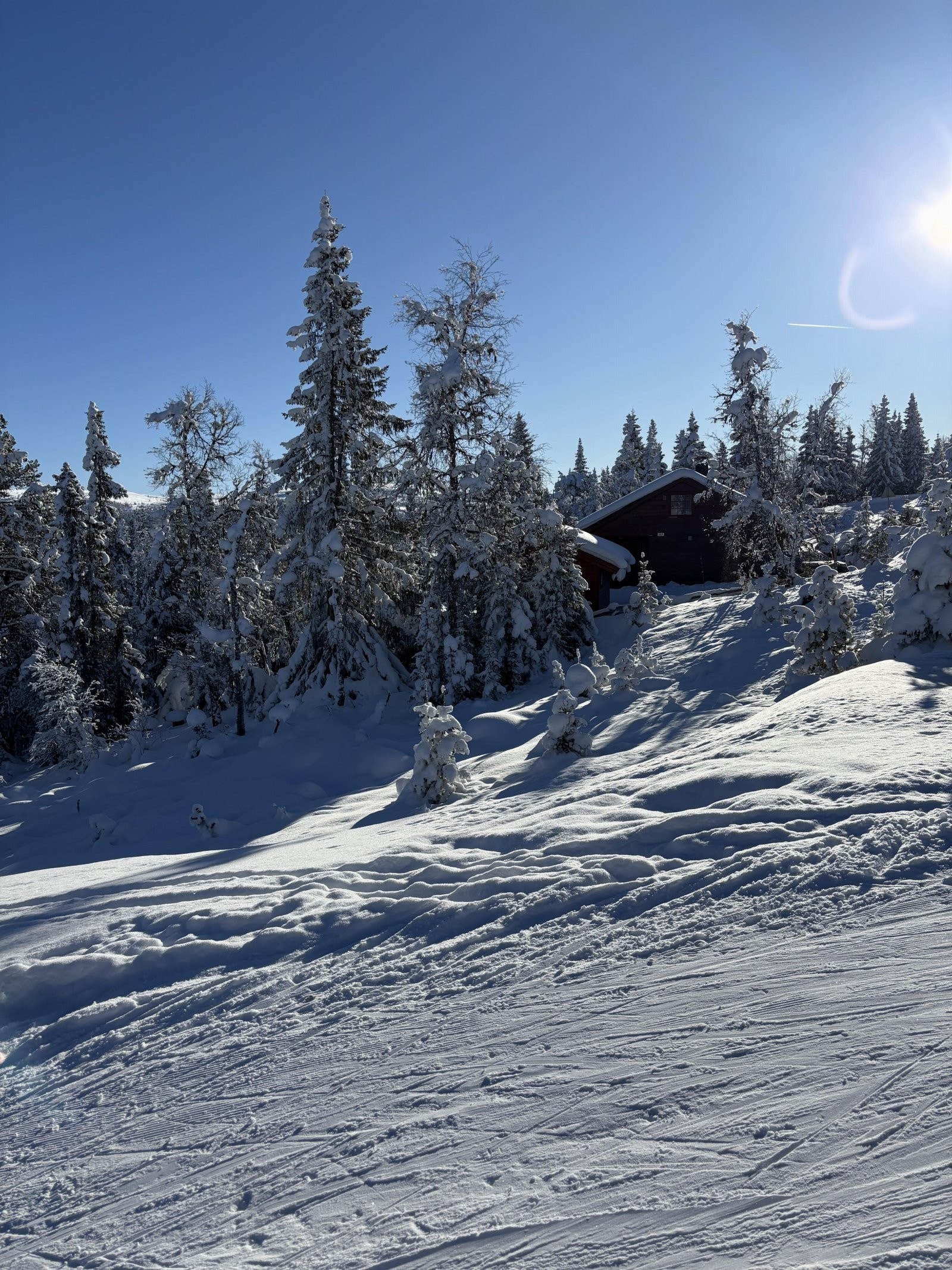 IMG_2006 Galleribilde