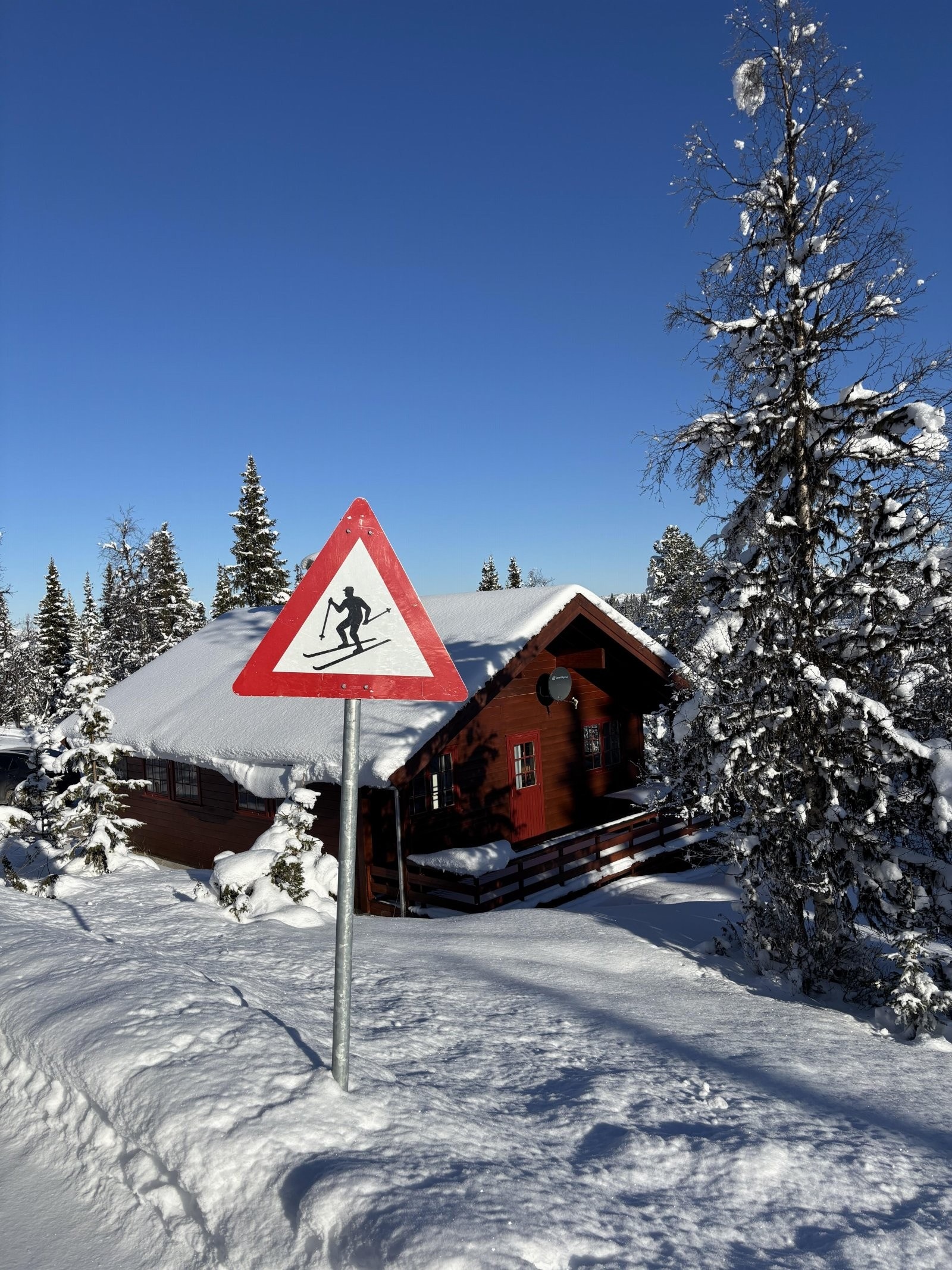 IMG_1996 Galleribilde