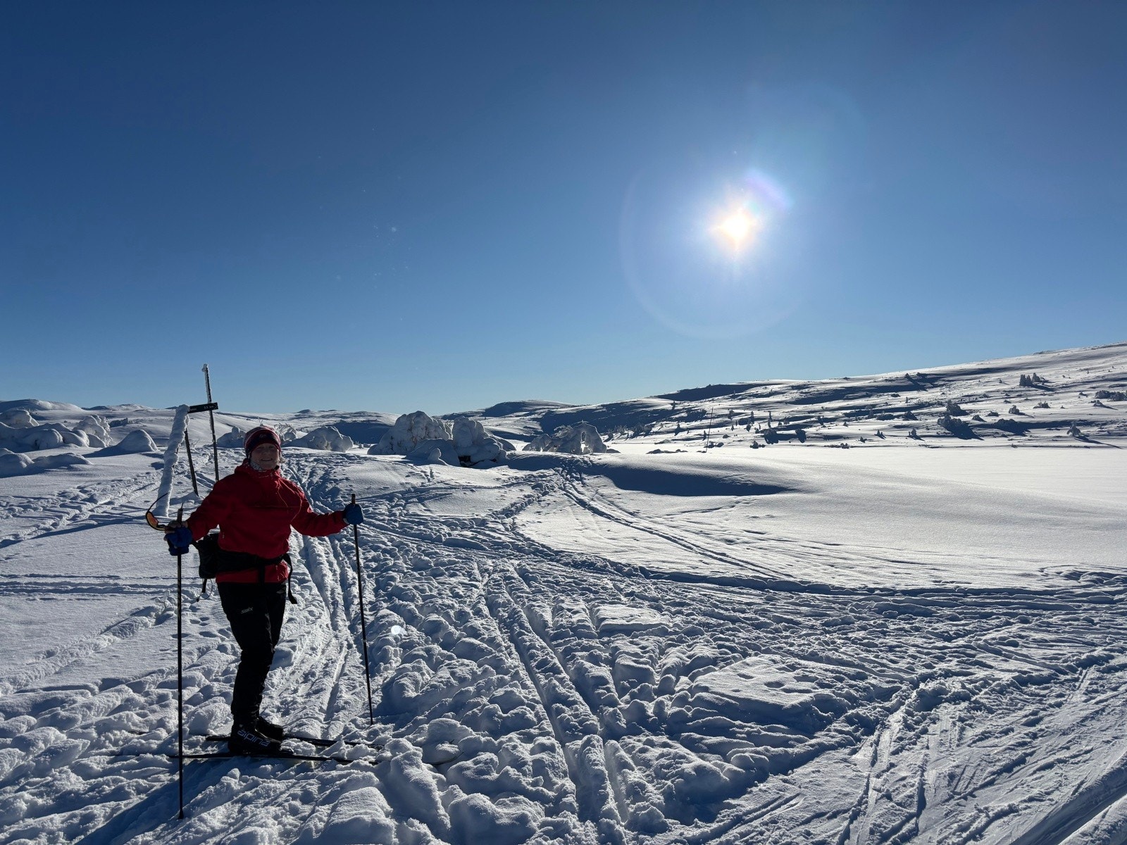Mil etter mil med skiløyper. Galleribilde
