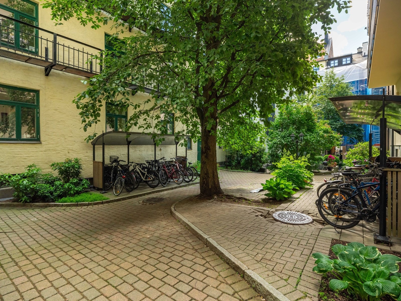 Bakgården er godt tilrettelagt med overbygd sykkelparkering og trivelige sittegrupper. Galleribilde