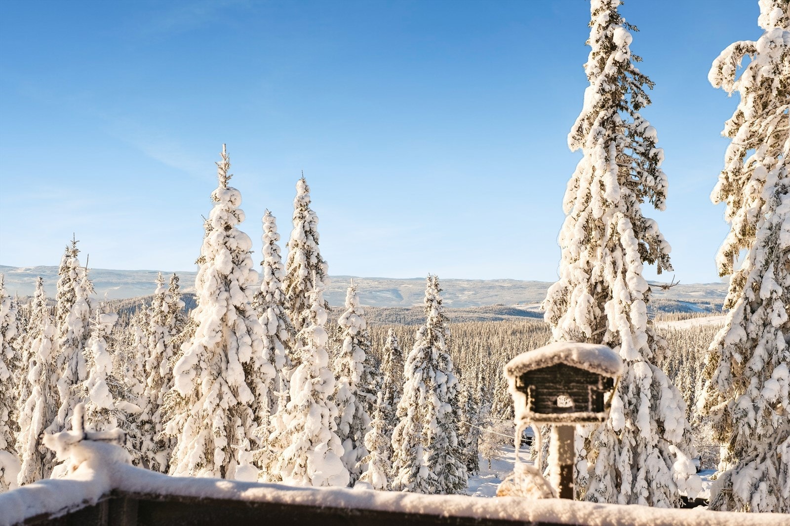 For alpinentusiaster er det kun 4 minutter med bil til Sjusjøen Skisenter. Galleribilde