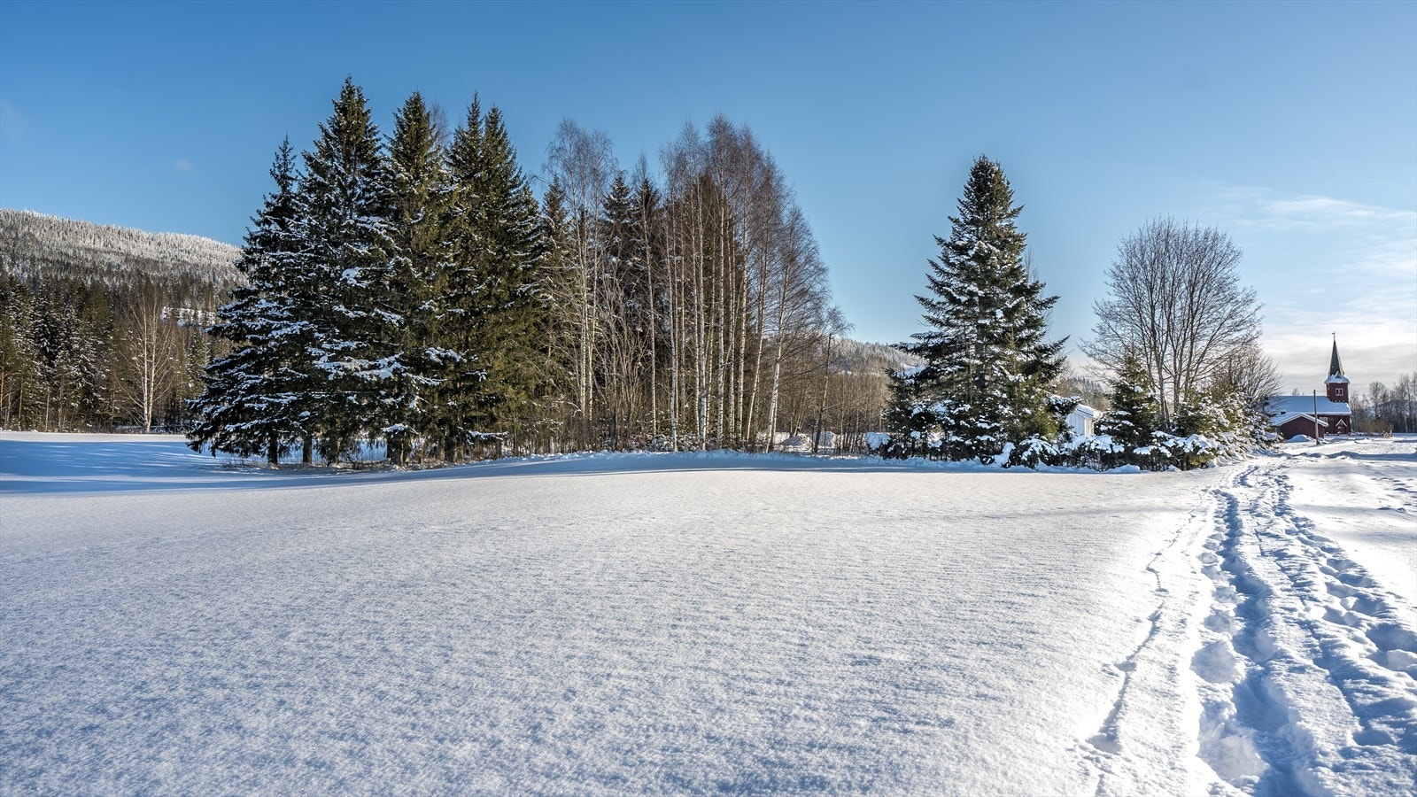 Eiendommen ligger i et jord- og skogsbruksområde med spredt boligbebyggelse på Evenstad i Stor-Elvdal kommune. Galleribilde