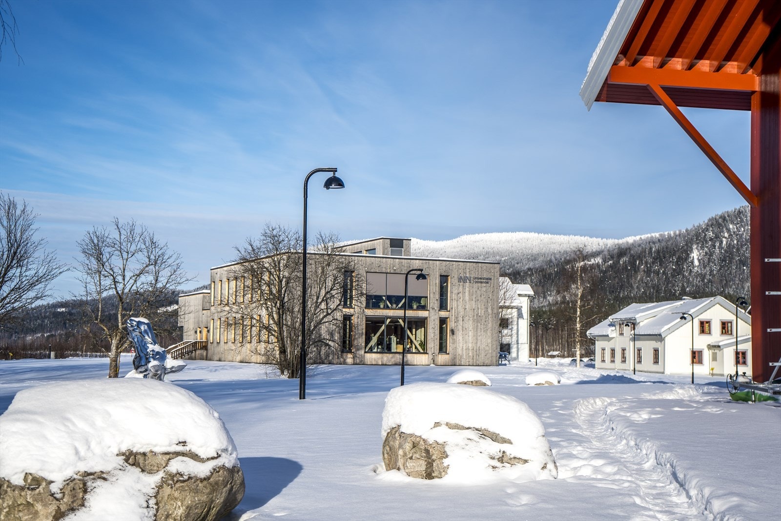 Evenstad nærområde - Universitetet i Innlandet, studiested Evenstad. Galleribilde