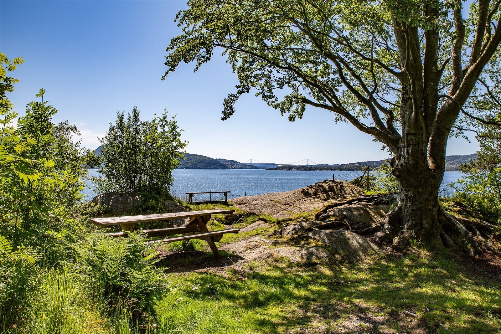 - Som et roligere alternativ, kan du gå opp til Sandviksbatteriet via Stoltzens lillebror, Permisjonsstien - Galleribilde