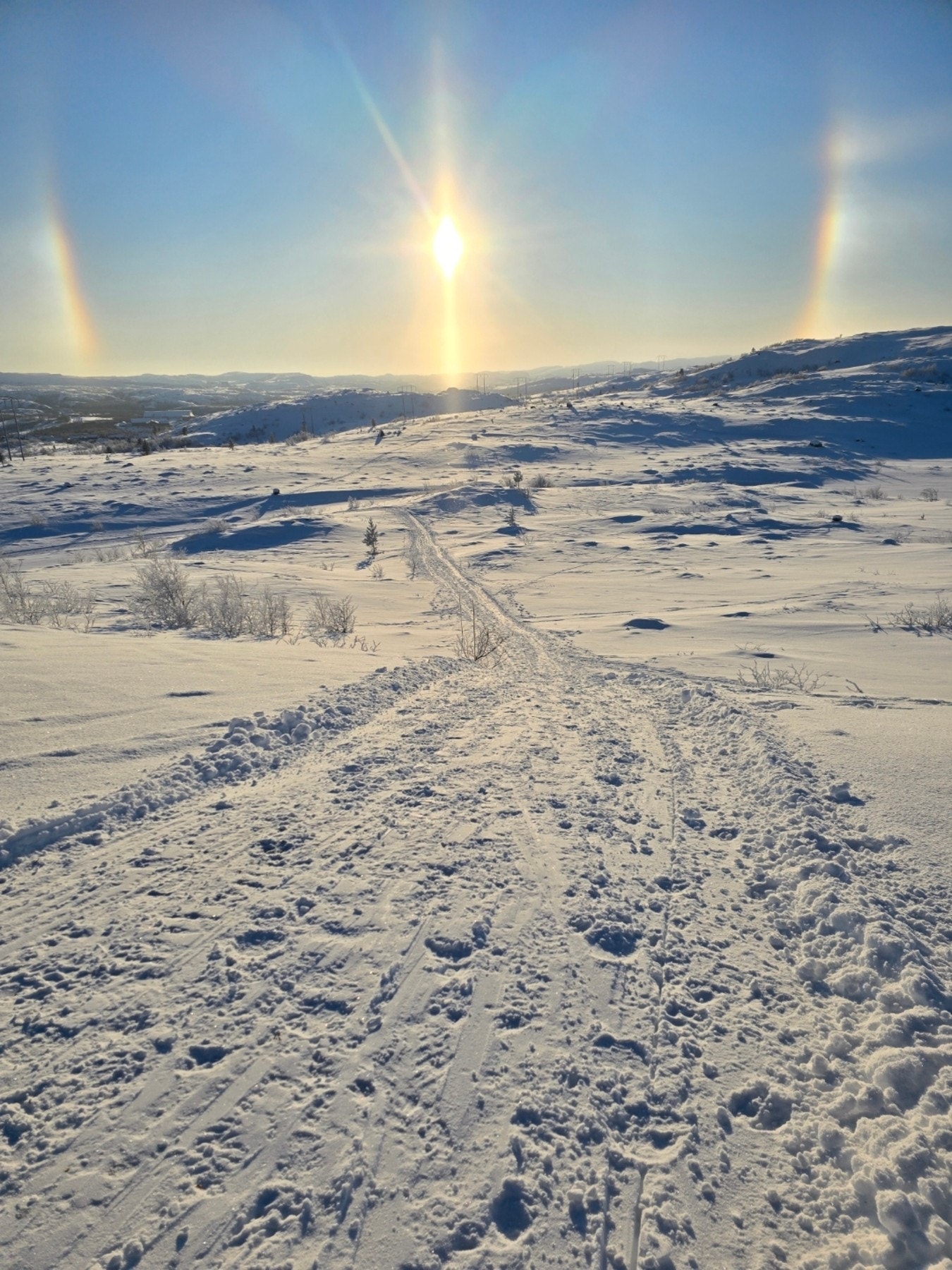 Rett ved boligen finner du en av flere populære labbeløyper på Hesseng, med mulighet for turer over fjellet mot både Sandnes og Kirkenes Galleribilde