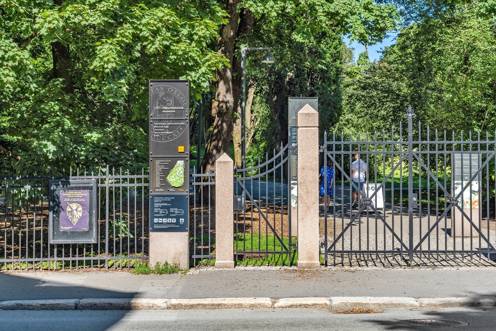 Botanisk hage - et levende museum ikke lange veien fra boligen. Galleribilde