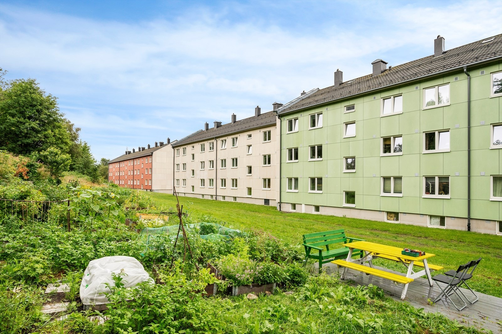 Som beboer i borettslaget har man mulighet til å benytte seg av en flott parsellhage som ligger like bak Odensevegen 25. Galleribilde