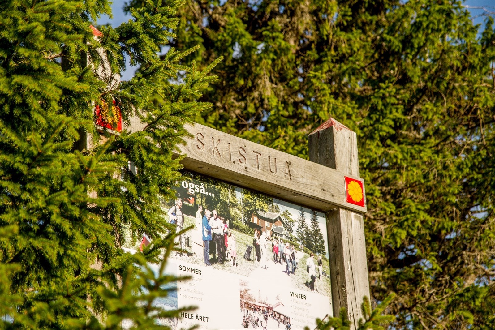 Skistua - Området er meget attraktivt og ligger like ved
Bymarka som kan by på fine tur- og
rekreasjonsmuligheter sommer som vinter. Galleribilde