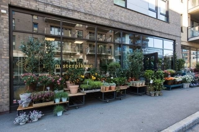 gangen Galleribilde