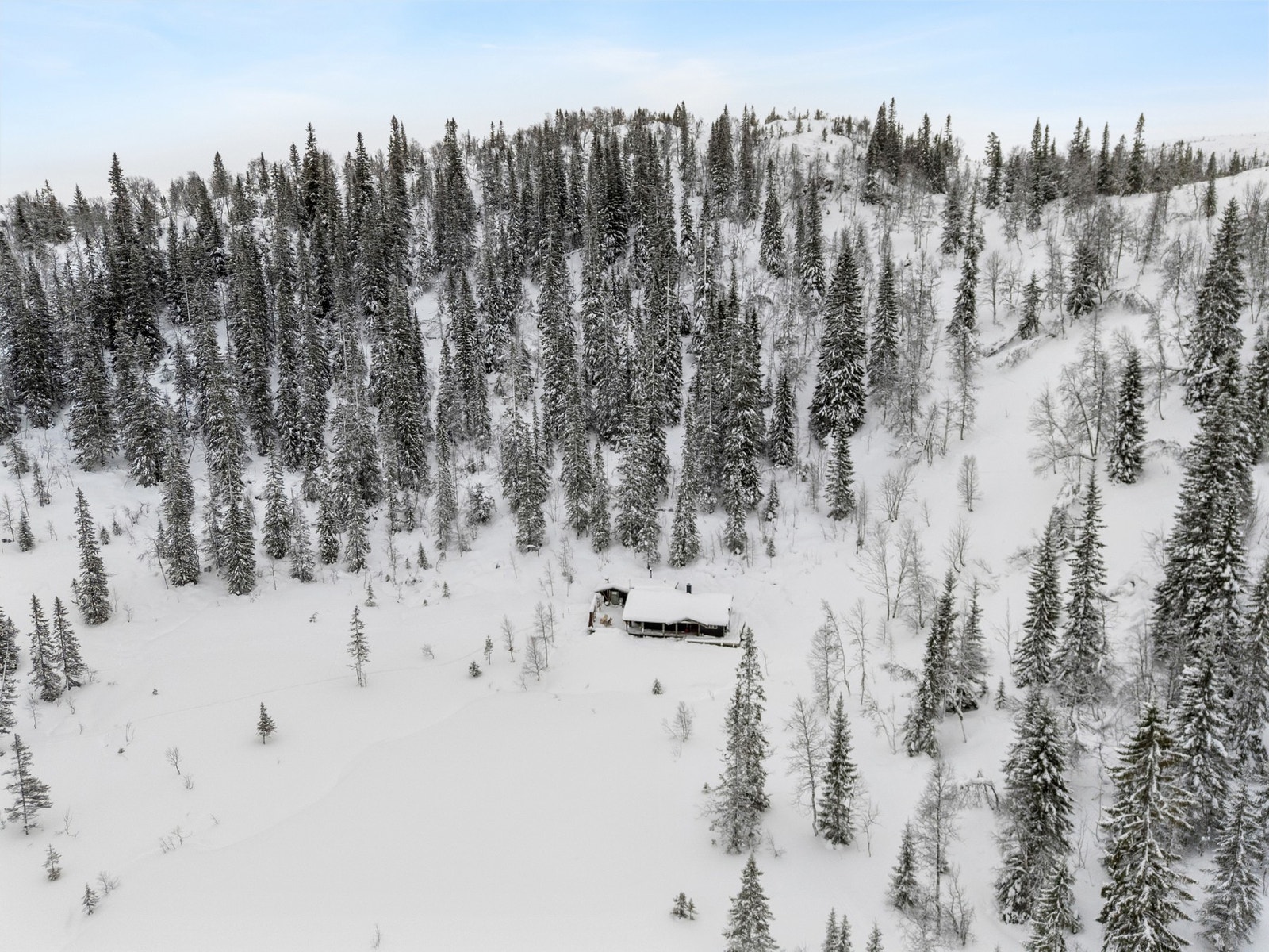 Parkering på felles parkeringsplass, ca. 90 meter til hytten. Galleribilde