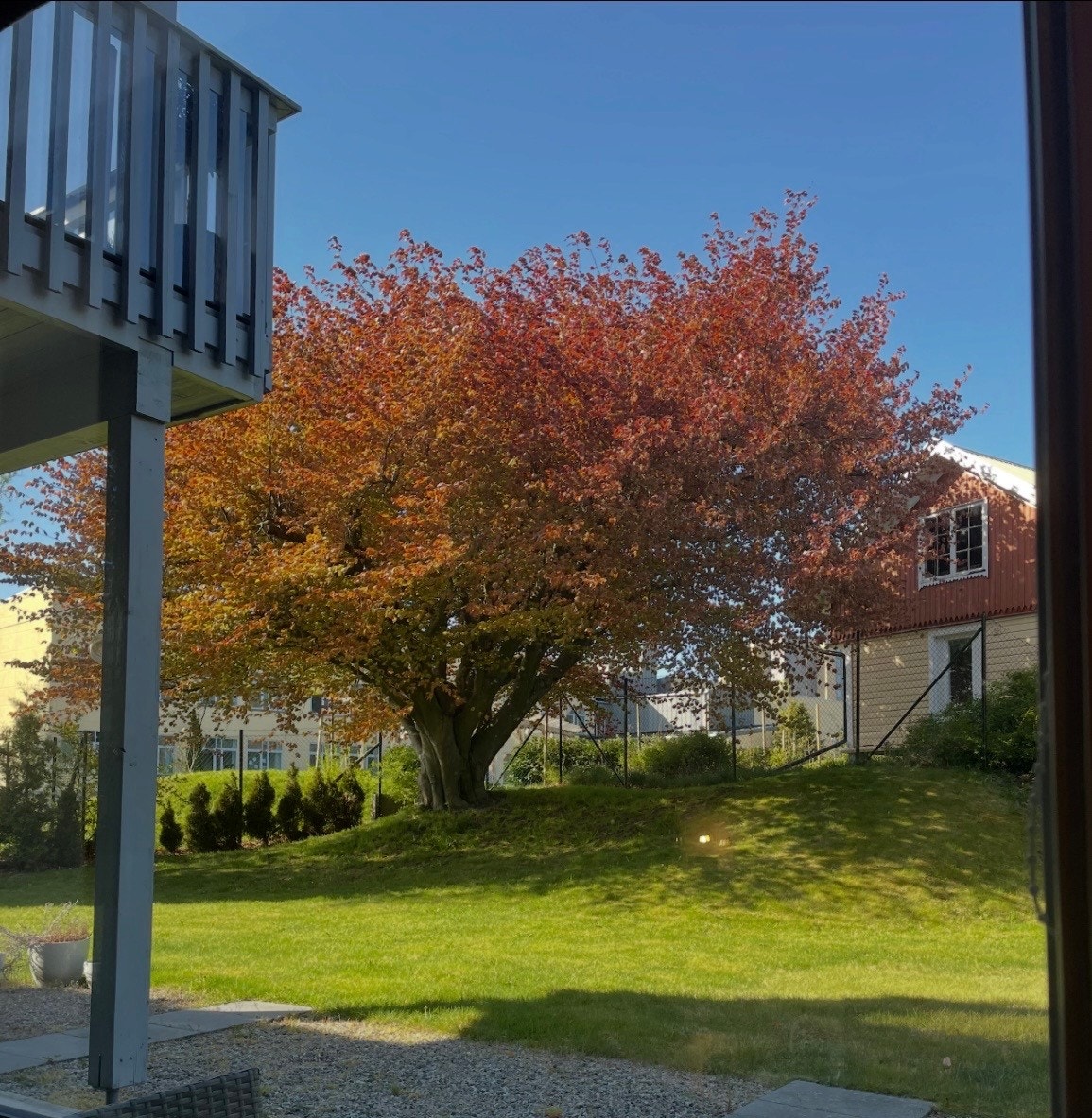 Vårbilde fra tidligere annonse. Galleribilde