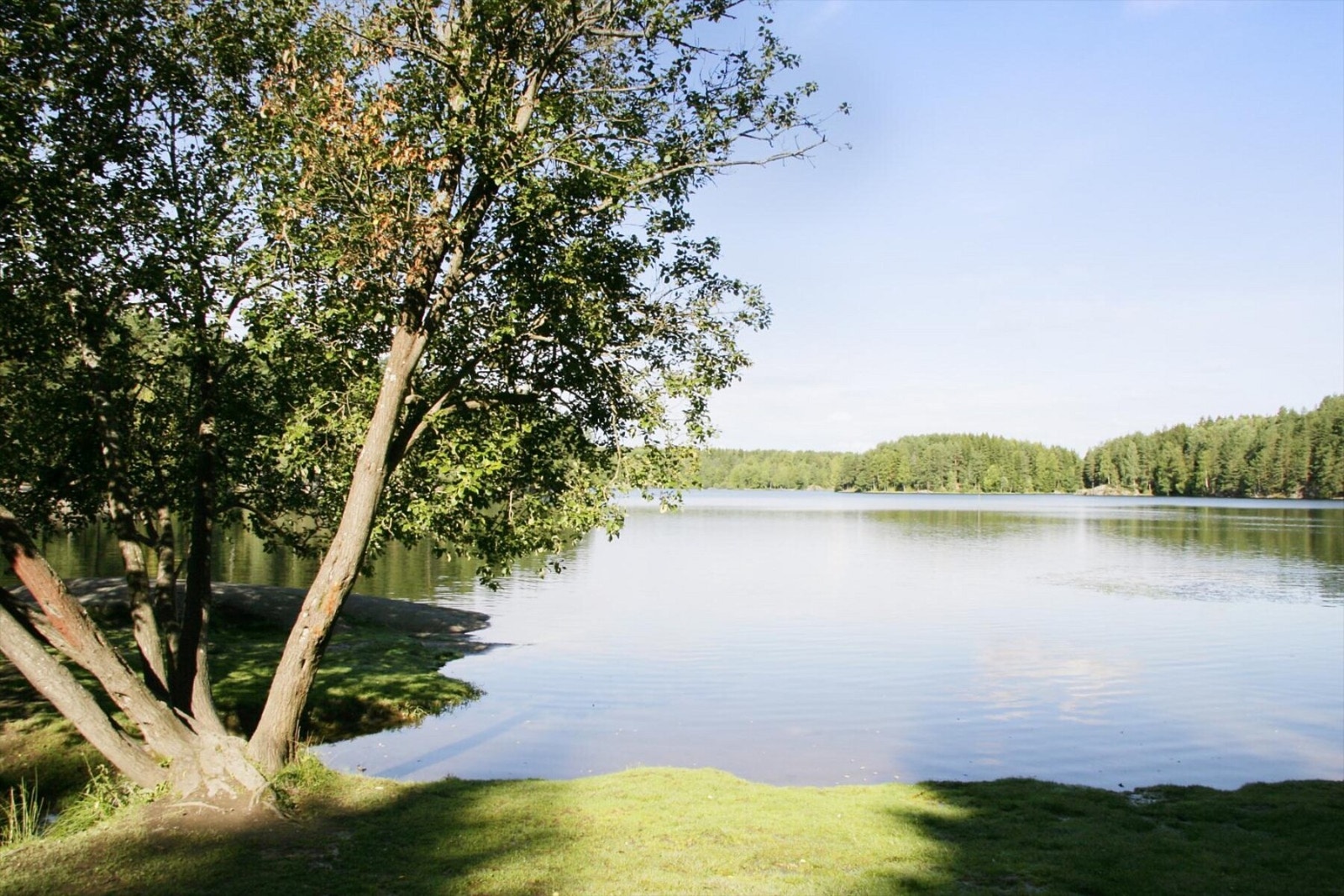 Kort vei til Østmarka som har flotte turstier og badevann. Her fra Nøklevann. Galleribilde