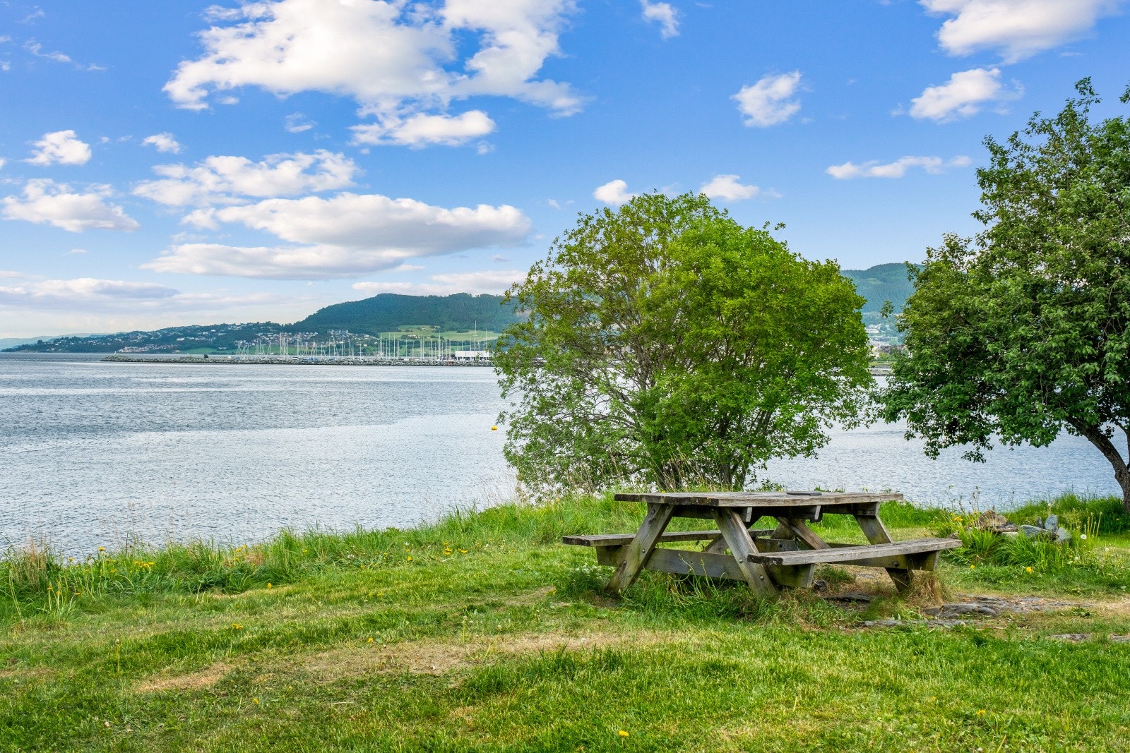 Ladestien er en av Trondheims aller mest populære turstier. Ladestien er i underkant av 8km lang om man går fra Ladehammeren til Rotvollfjæra. Stien er tilrettelagt for alle og man kan tilpasse turen med hvor man starter og hvor langt man ønsker å gå. Galleribilde