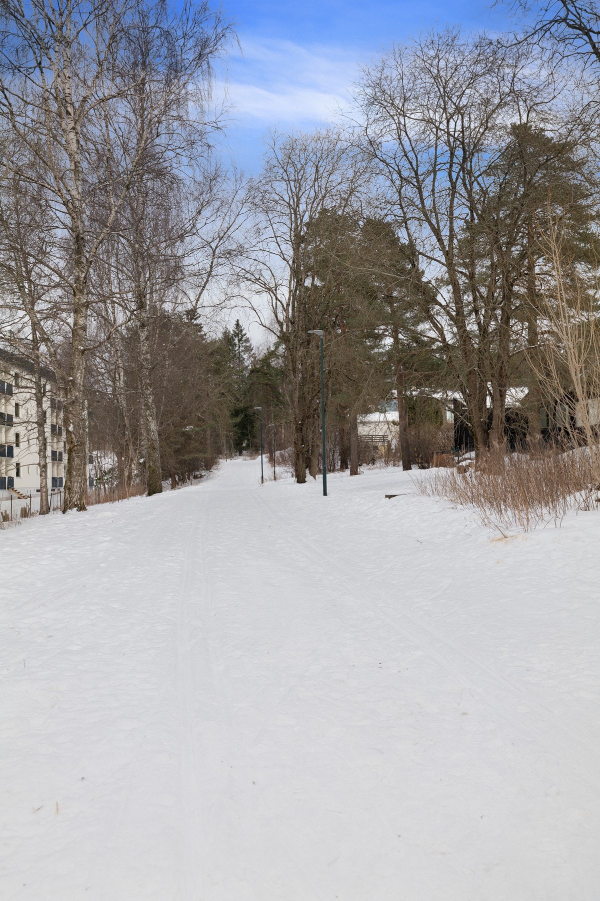 Ski in - ski out! Rett ved sameiet kjøres det opp løyper vinterstid, og det er felles smørebod i kjelleren. Galleribilde