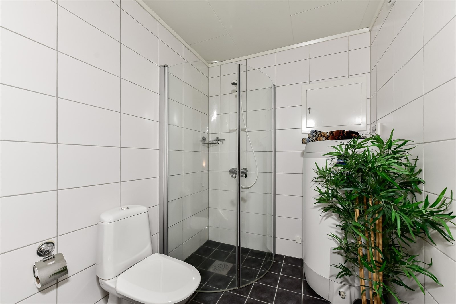 Her er det dusjnisje med glassdører og opplegg for vaskemaskin. Galleribilde