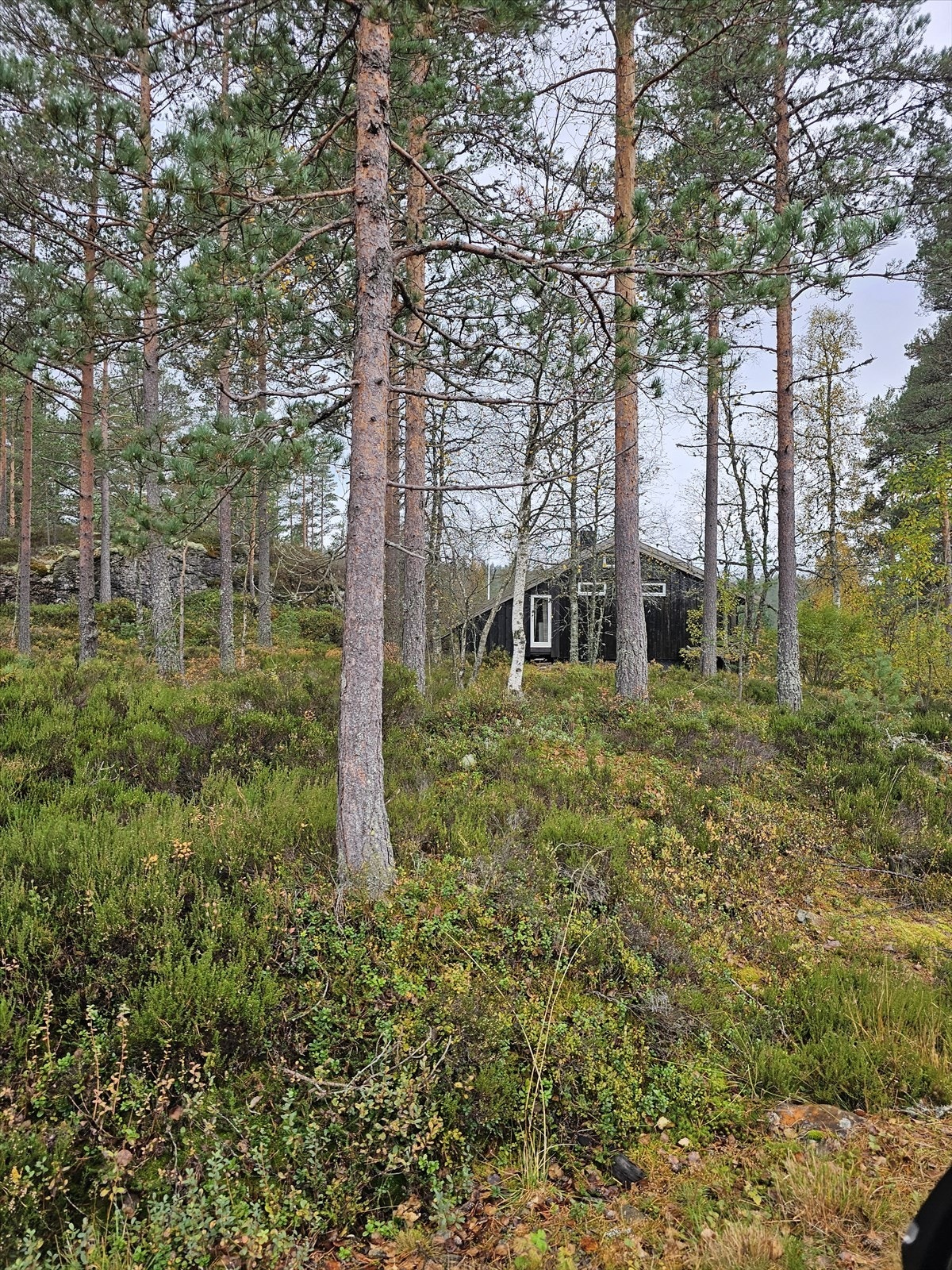 Bilde mottatt fra selger Galleribilde