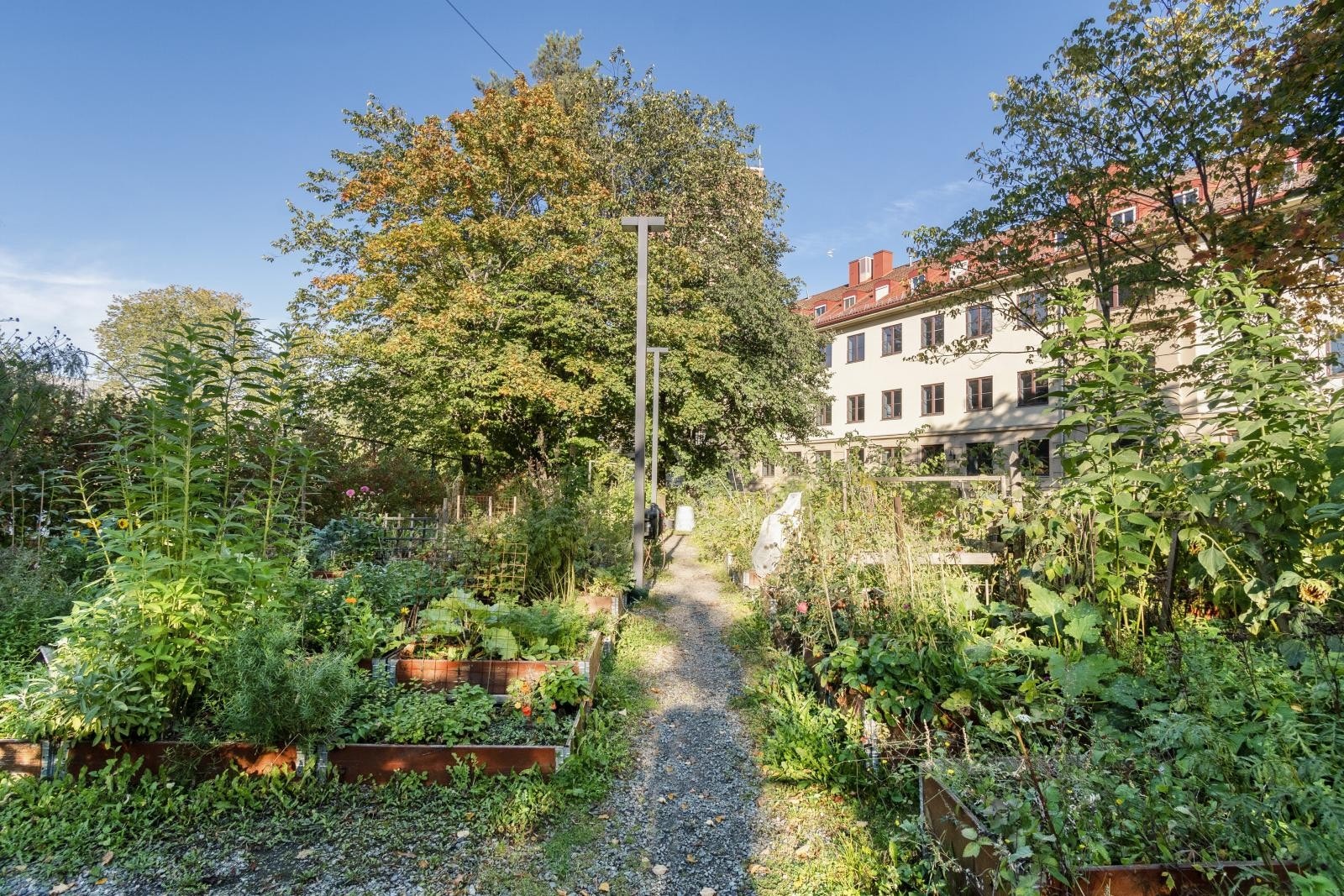 Enerhaugen parcellhage Galleribilde