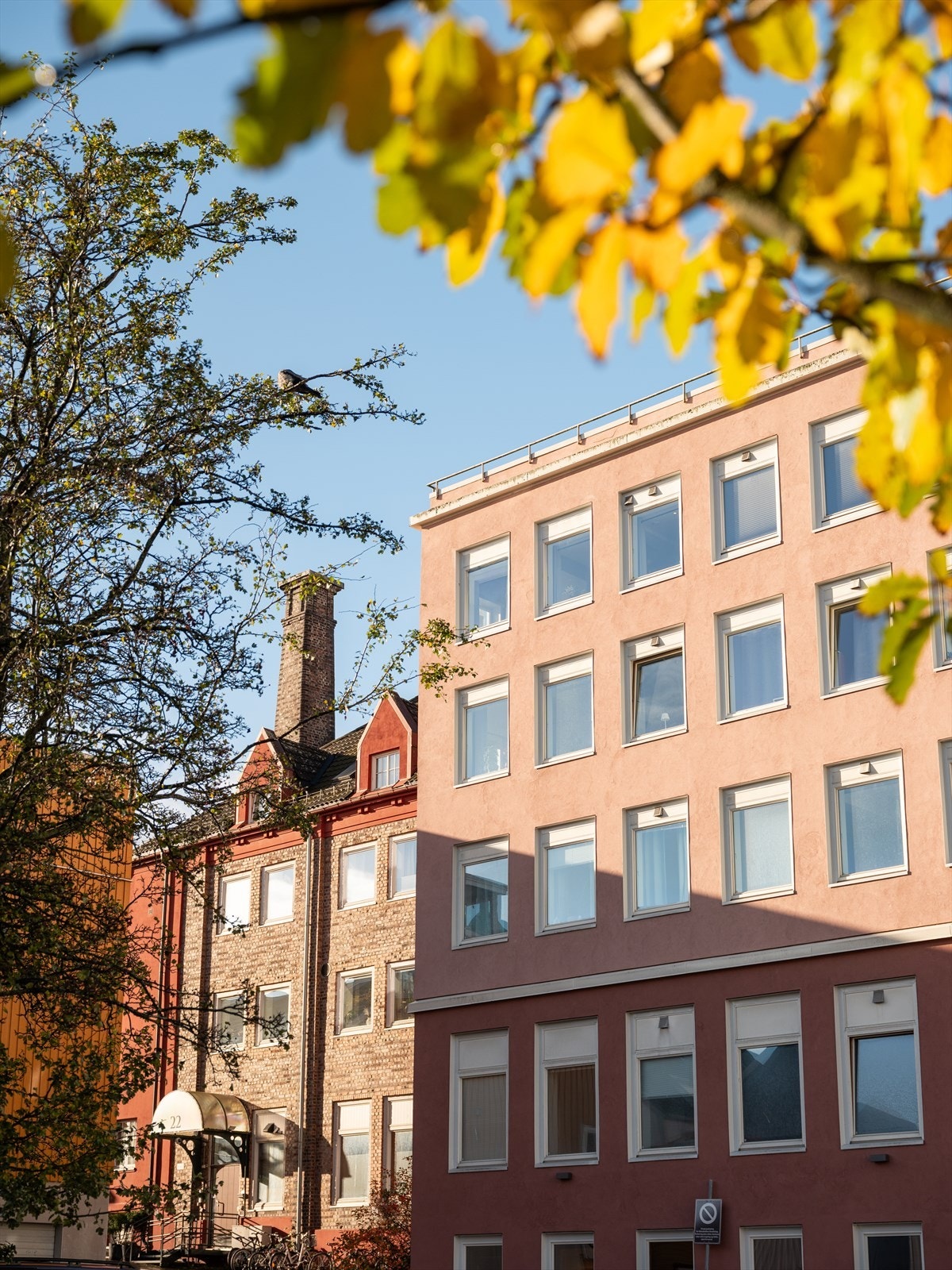 Fasade. Galleribilde